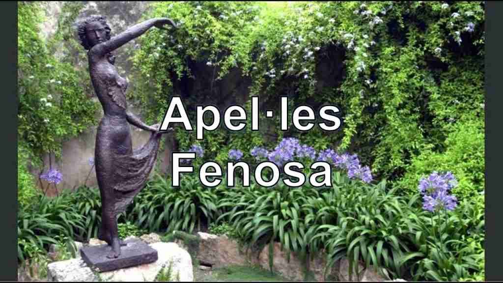FUNDACIÓ APEL·LES FENOSA