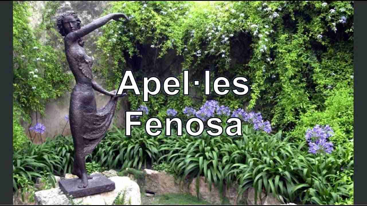 FUNDACIÓ APEL·LES FENOSA