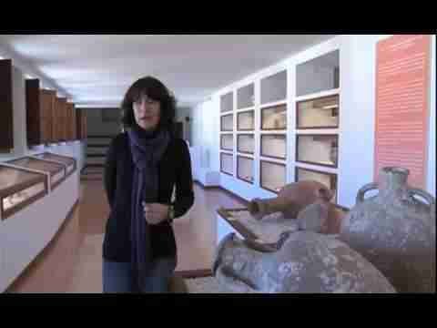 FUNDACIÓ MUSEU REGIONAL D'ARTÀ