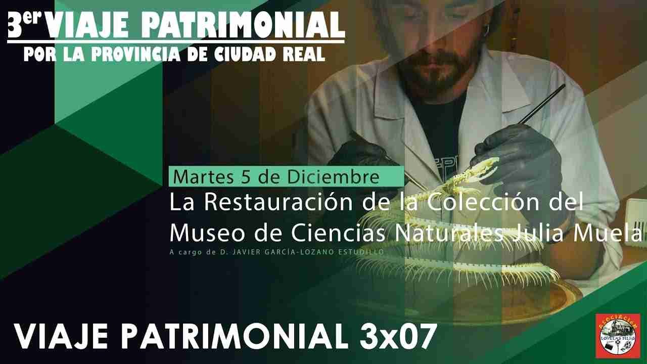 IES MAESTRO JUAN DE ÁVILA MUSEO DE CIENCIAS NATURALES JULIA MUELA