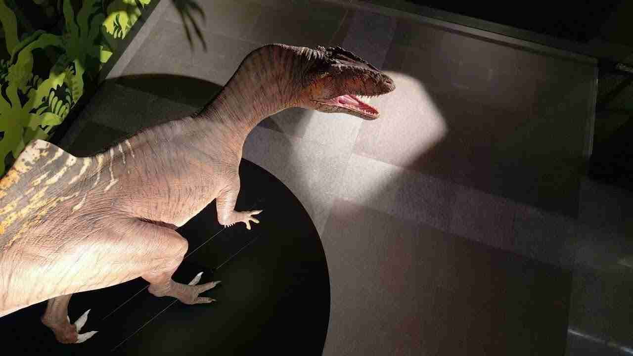MUSEO ARAGONÉS DE PALEONTOLOGÍA CENTRO SATÉLITE DE CASTELLOTE