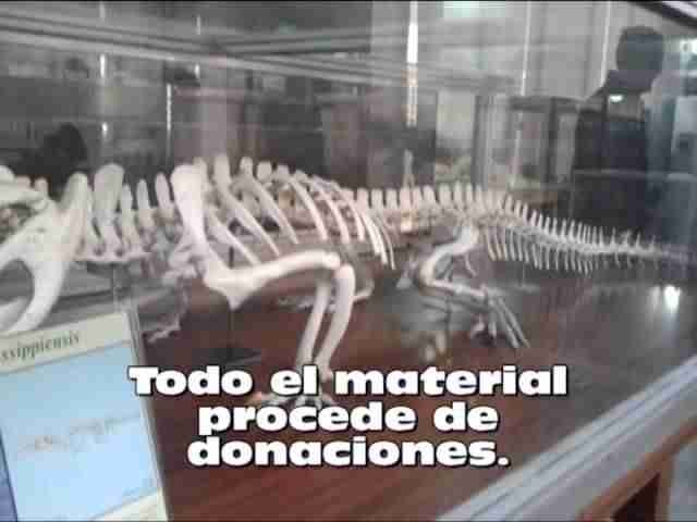 MUSEO DE ANATOMÍA COMPARADA DE VERTEBRADOS