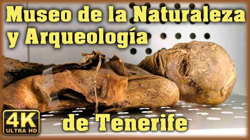MUSEO DE CIENCIAS NATURALES DE TENERIFE