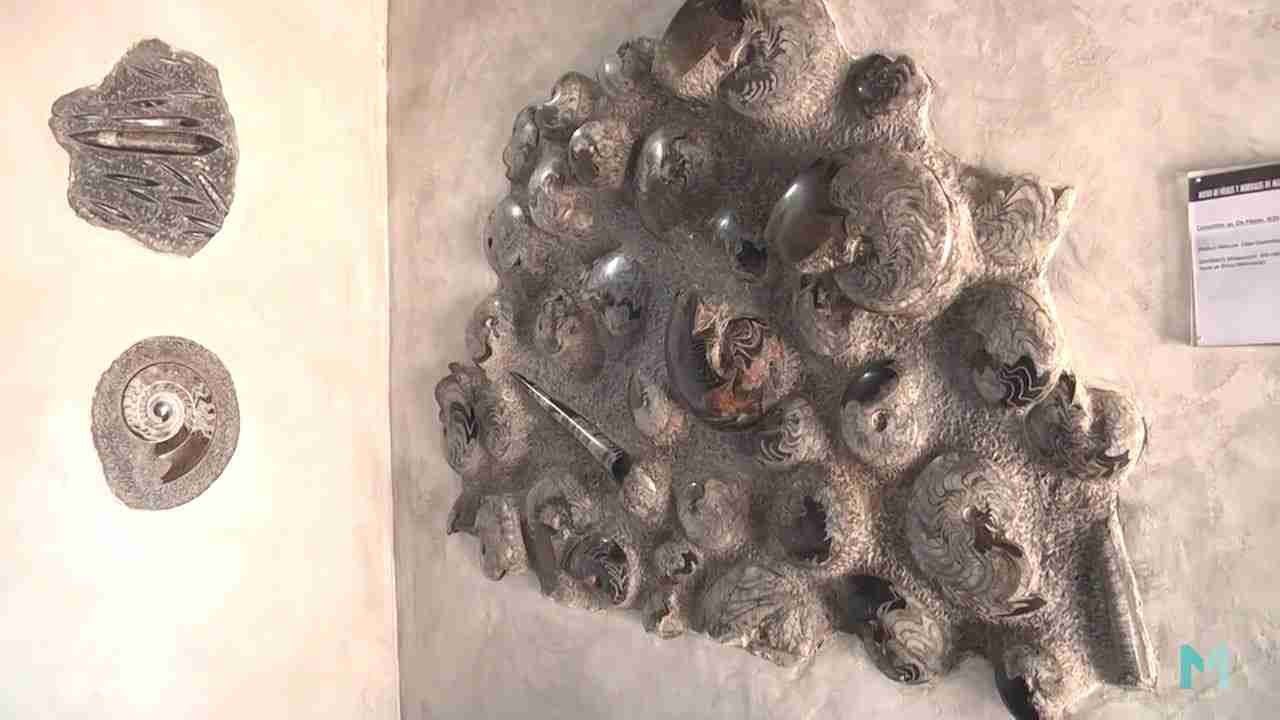 MUSEO DE FÓSILES Y MINERALES DE MELILLA