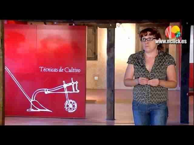 MUSEO DE LA CEREZA