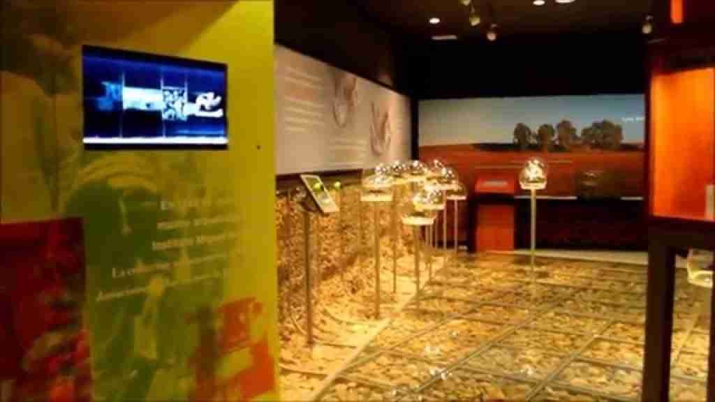 MUSEO DE LA RINCONADA Colecciones Arqueológicas y Paleontológicas en memoria de Francisco Sousa