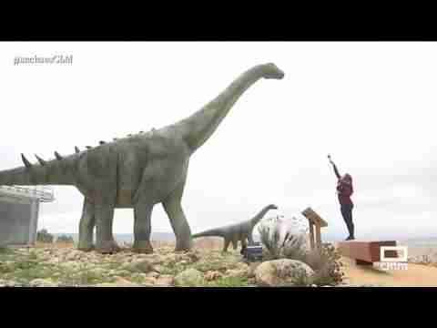 MUSEO DE PALEONTOLOGÍA DE CASTILLA  LA MANCHA