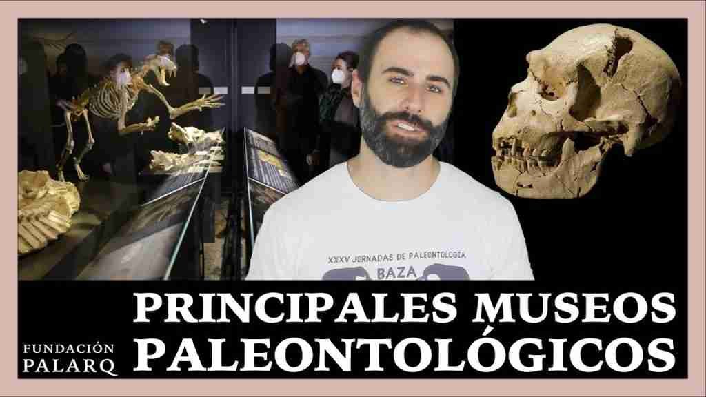 MUSEO DE PREHISTORIA