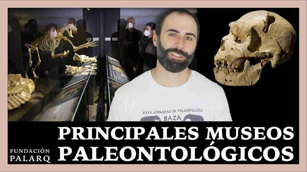 MUSEO DE PREHISTORIA