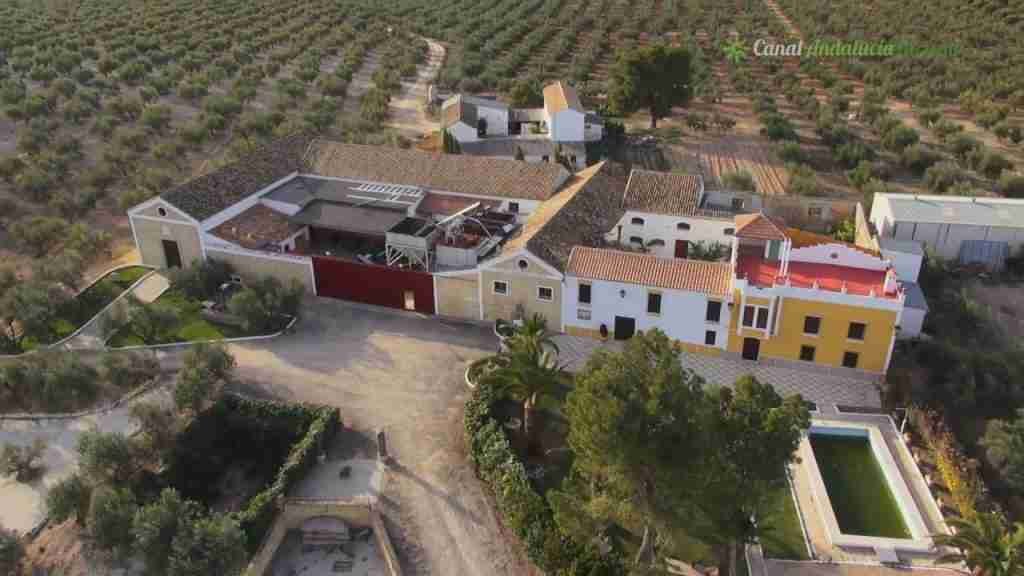 MUSEO DEL ACEITE DE OLIVA