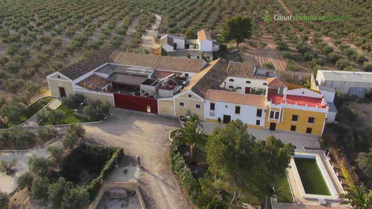 MUSEO DEL ACEITE DE OLIVA