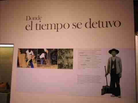 MUSEO DEL CORCHO