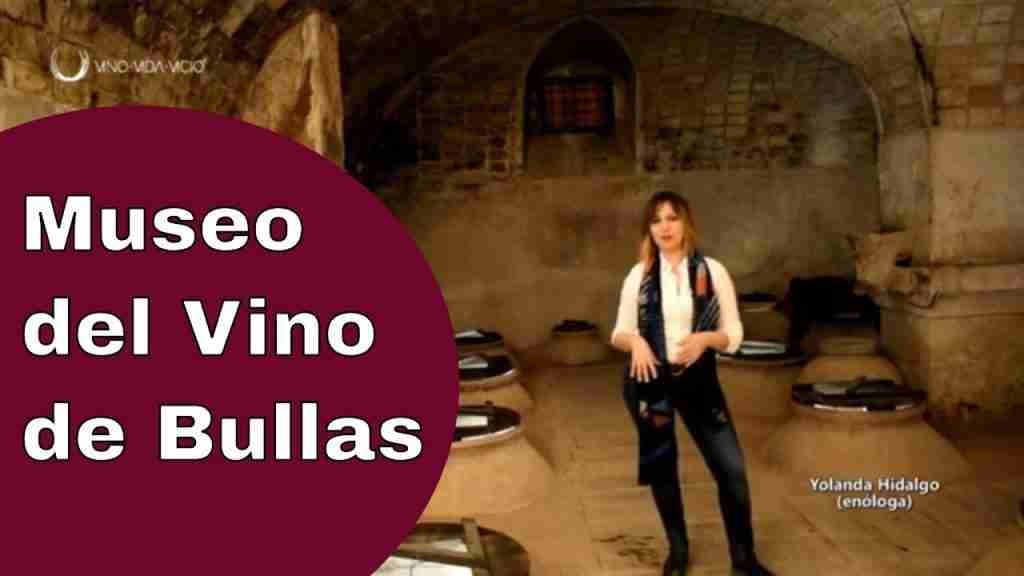 MUSEO DEL VINO DE BULLAS