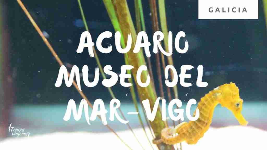 Museo do Mar de Galicia