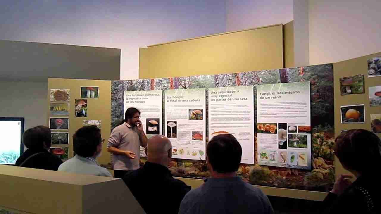 MUSEO MICOLOGICO