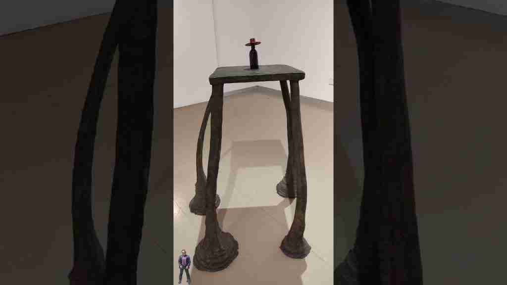 MUSEO REGIONAL DE ARTE MODERNO
