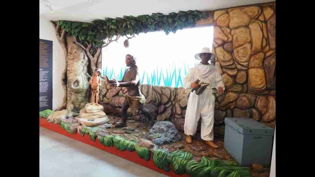 MUSEO VALENCIANO DE LA MIEL