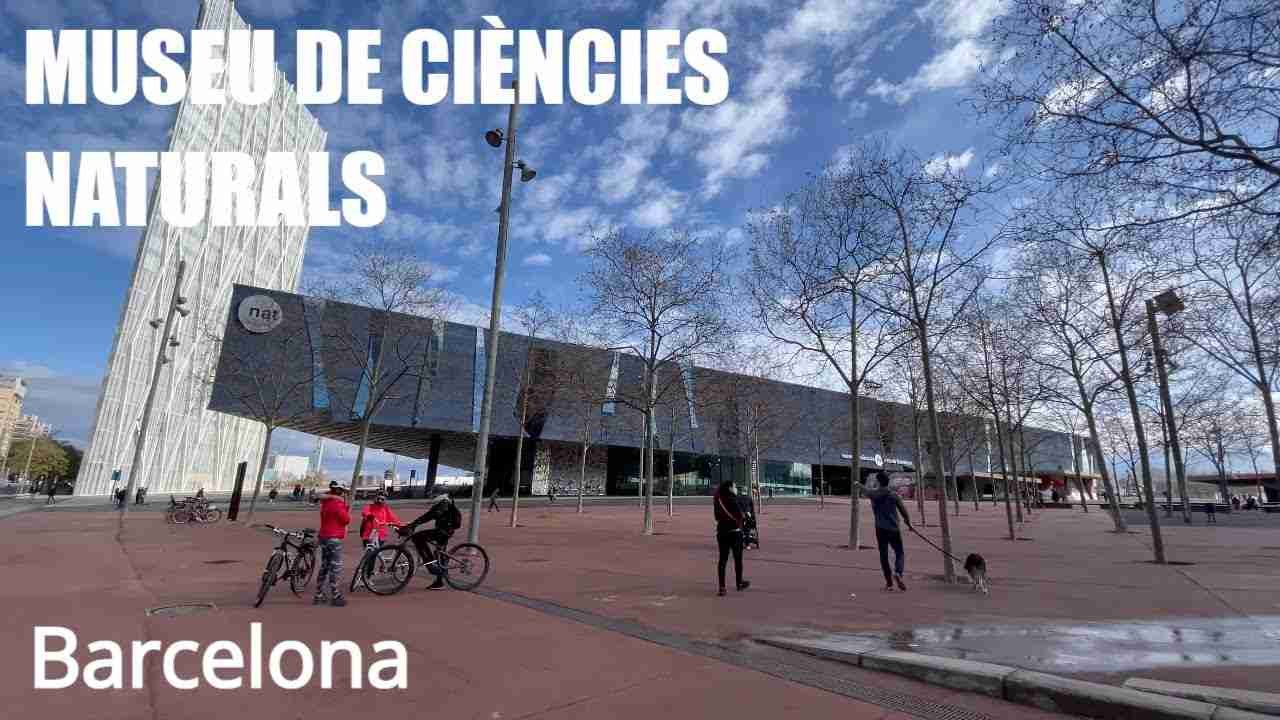 MUSEU DE CIÈNCIES NATURALS DE BARCELONA
