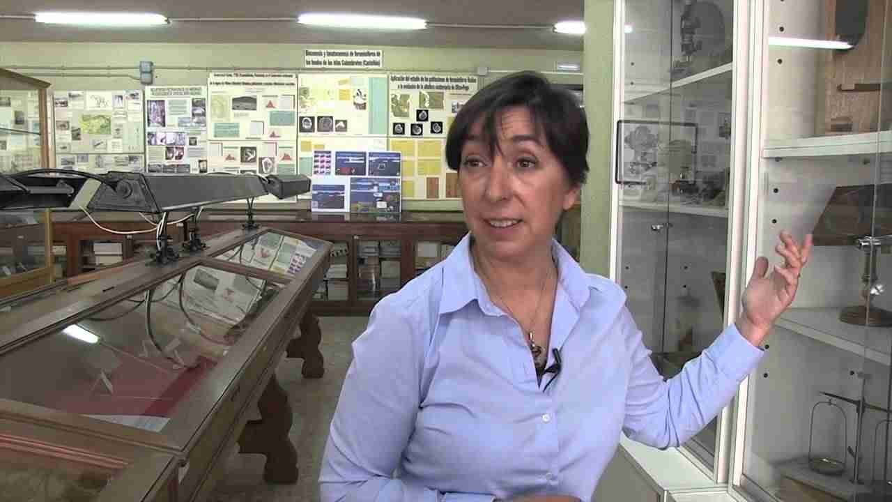 MUSEU DE GEOLOGIA DE LA UNIVERSITAT DE VALÈNCIA
