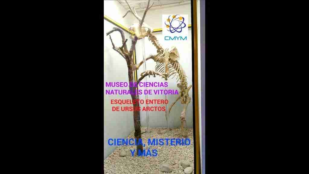 MUSEU DE LA CIENCIA PARE EDUARD VITORIA IES PARE EDUARD VITORIA