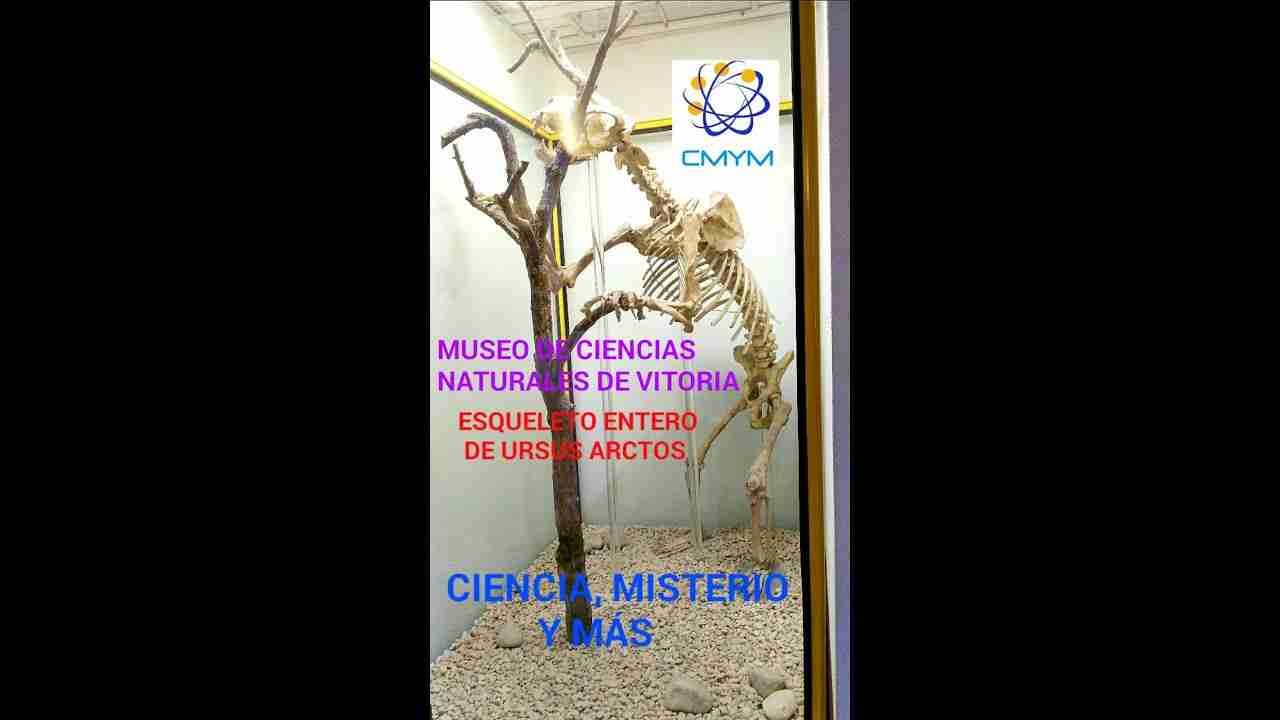MUSEU DE LA CIENCIA PARE EDUARD VITORIA IES PARE EDUARD VITORIA