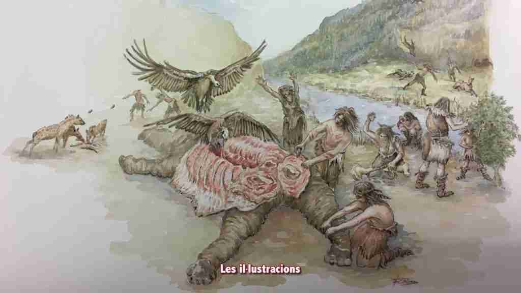 MUSEU DE PREHISTORIA
