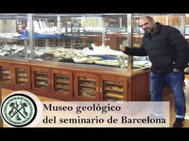 MUSEU GEOLÒGIC DEL SEMINARI DE BARCELONA