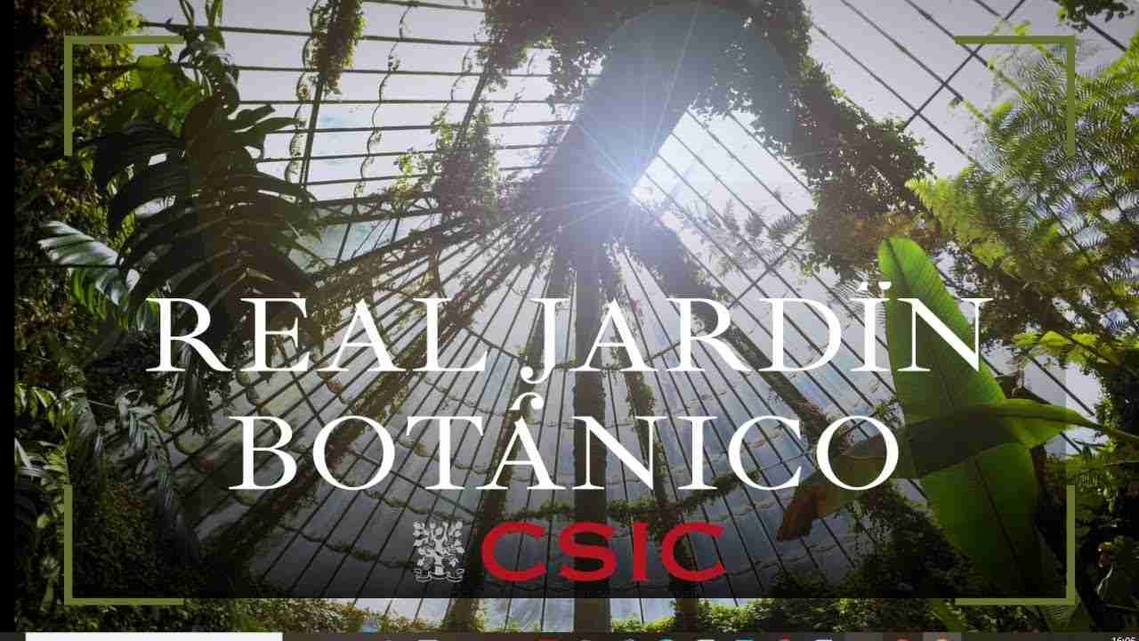 REAL JARDÍN BOTÁNICO CSIC