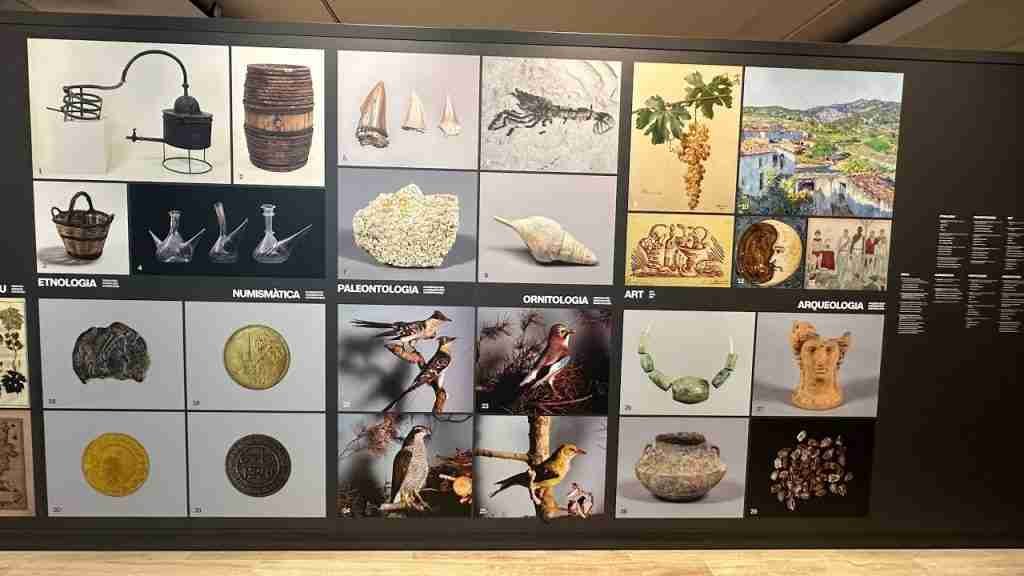 VINSEUM MUSEU DE LES CULTURES DEL VI DE CATALUNYA